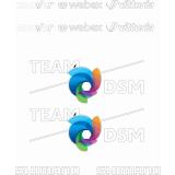 DSM Scott Team Rahmenaufkleber - Foto 1