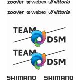DSM Scott Team Rahmenaufkleber - Foto 2